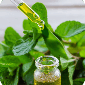 Phytolin™