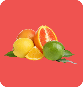 img-Citrus Filler Natural
