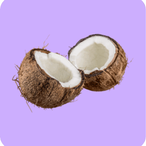 Coconat