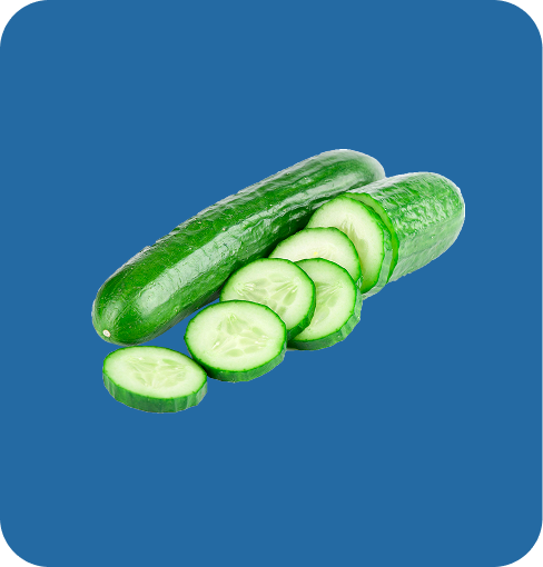 img-Cucumber