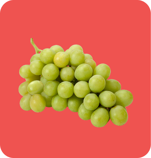 img-Filler Grape Concentrate