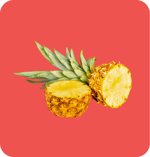 img-Filler Pineapple Concentrate