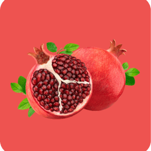Filler Pomegranate Concentrate