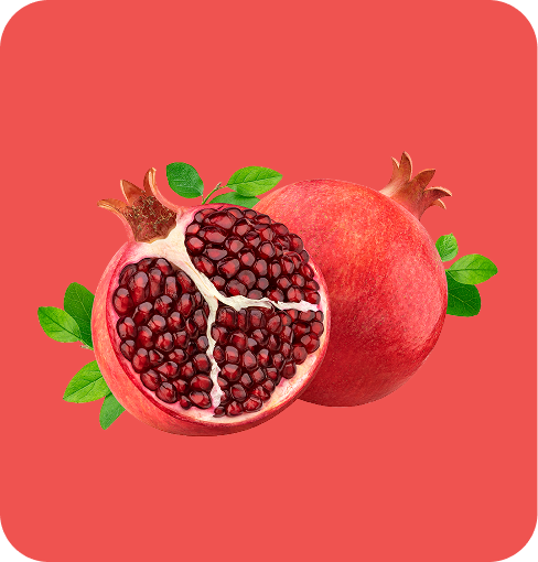 img-Filler Pomegranate Concentrate