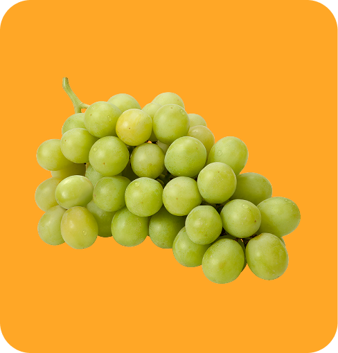 img-Grape Deionized