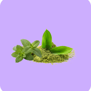 Green Tea with Mint