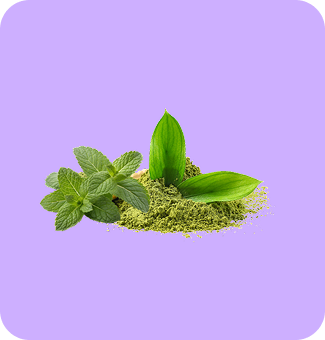 img-Green Tea with Mint