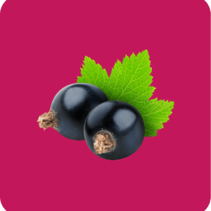 Blackcurrant