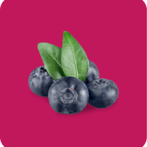 Blueberry