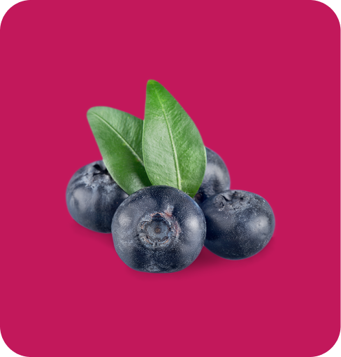 img-blueberry