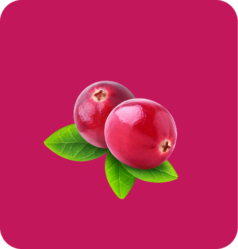 img-cran