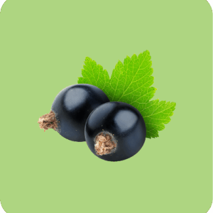 Blackcurrant