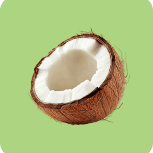 Coconut