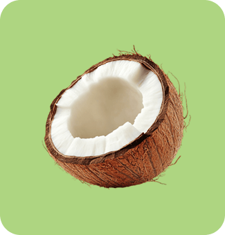img-Coconut