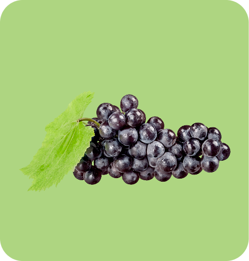 img-Grape