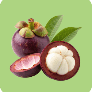 Mangosteen