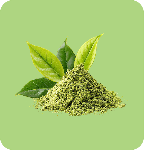 img-Matcha Latte