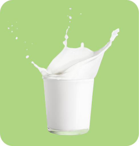 img-Milk