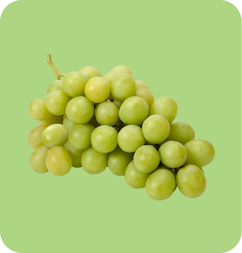 img-White Grape