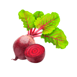 BEETROOT