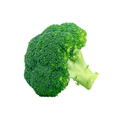 BROCCOLI