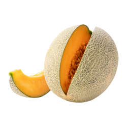 Melon